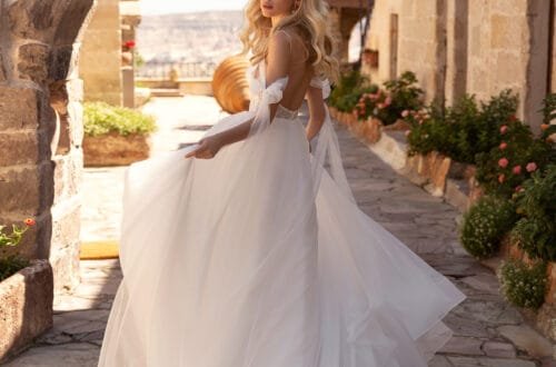 delphine 3